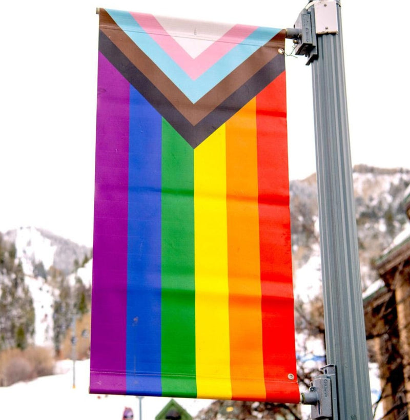 Progress Pride LGBTQ+ Rainbow Street Banner Flag 3'x6' Double Sided