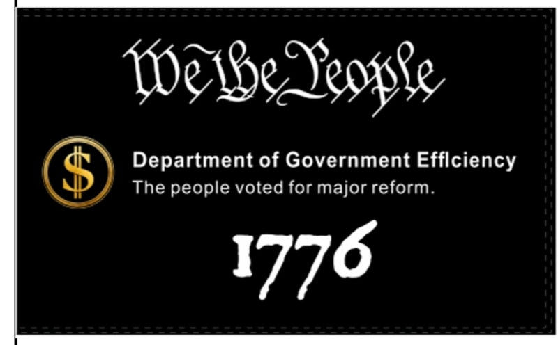 USA D.O.G.E. Department of Government Efficiency We the People 1776 3x5 Feet 100D Rough Tex Elon Musk