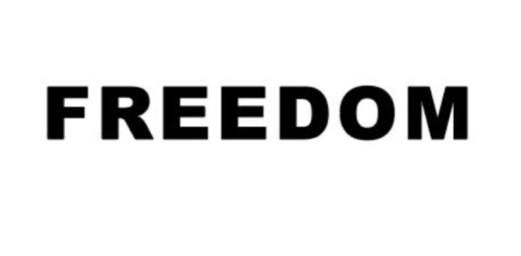 Freedom Charlie Kirk White Can Koozies Holders Ships Oct 7 12 Packs