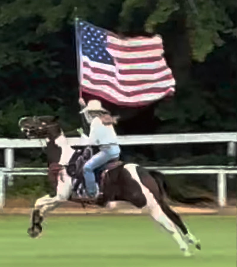 Affordable American Printed Large USA Flags for Trucks Horseback Flagpoles Sale for America at 250th Anniversary