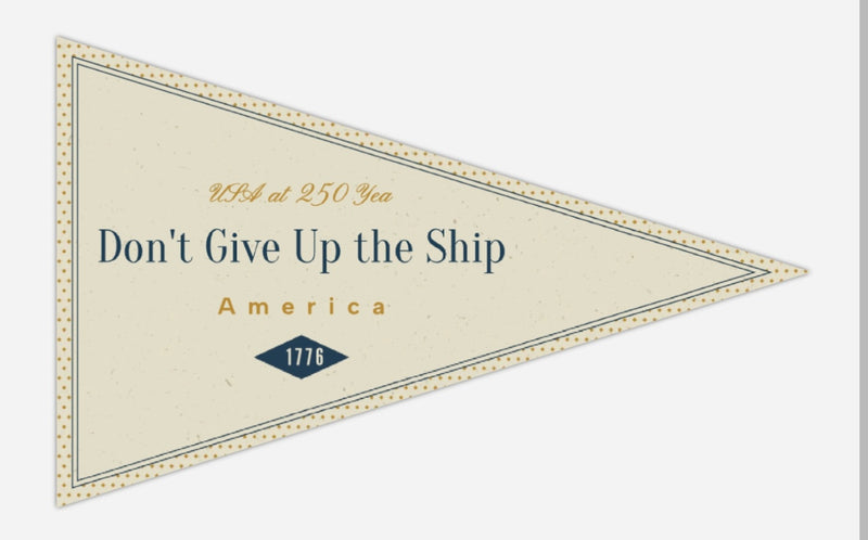 Pennant Banner Flags Custom & Solid Color 2x3 3x5 4x6 5x8 6x10 Feet