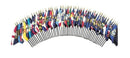 UNITED STATES FLAGS 6"X9" WOODEN STAFF STATE FLAG COLLECTION 144 Per State
