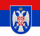 Srpska Republika Bosinia Hercegovina Republic Srpska Custom Made 3x5 Feet Made to Order
