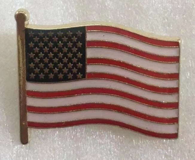 USA American Wavy Lapel Pin