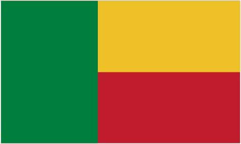 Benin 3'X5' Flag ROUGH TEX® 100D