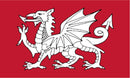 British White Dragon 3'X5' Flag ROUGH TEX® 100D