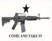 Come and Take It M4 12"x18" Stick Flag ROUGH TEX® 100D 30" Wooden Staff