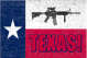 Come and Take It Texas 3'X5' Flag ROUGH TEX® 100D