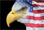USA Eagle Black 3'X5' Flag ROUGH TEX® 100D