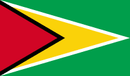 Guyana 3'X5' Flag ROUGH TEX® 68D