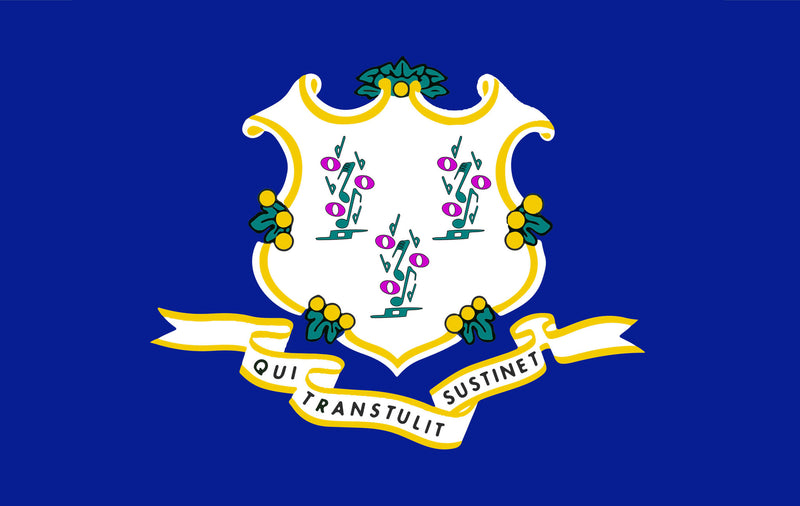 Connecticut 3'x5' Embroidered Polyester Flag with Gold Fringe