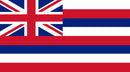Hawaii 3'x5' Embroidered Polyester Flag with Gold Fringe