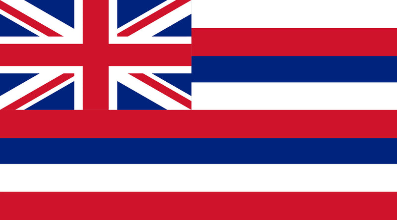 Hawaii 3'x5' Embroidered Polyester Flag with Gold Fringe