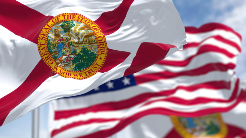 Florida 3'x5' State Flag ROUGH TEX® 68D Nylon Sale