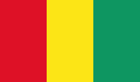 Guinea 3'X5' Flag ROUGH TEX® 68D