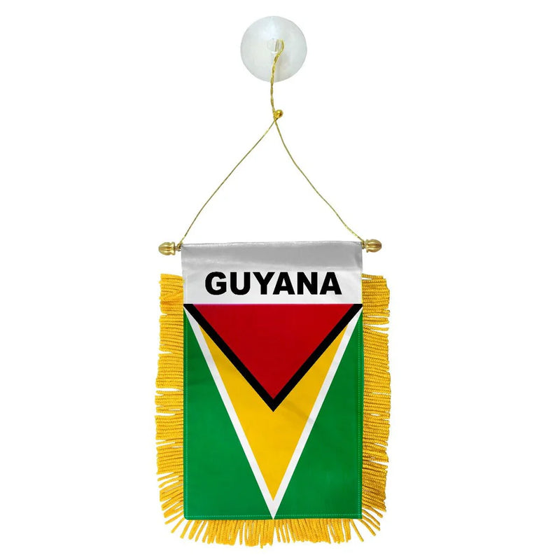 Guyana Flag Mini Banner