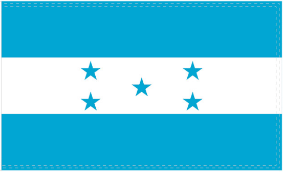 Honduras 2022 2'x3' Flag ROUGH TEX® 100D