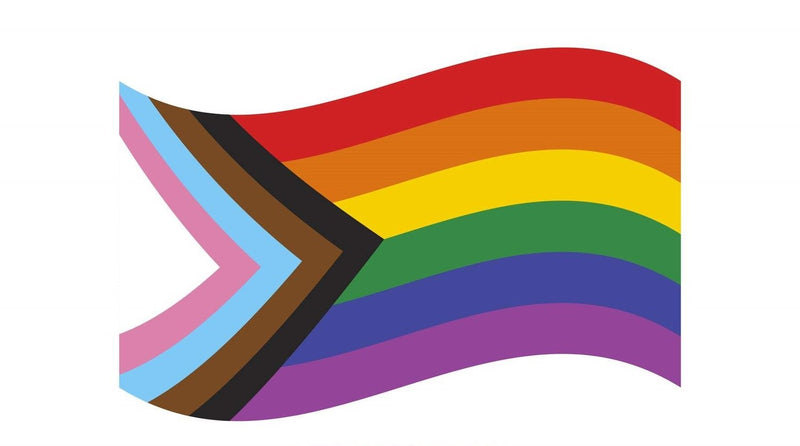 Progress Pride LGBTQ+ Rainbow Street Banner Flag 3'x6' Double Sided