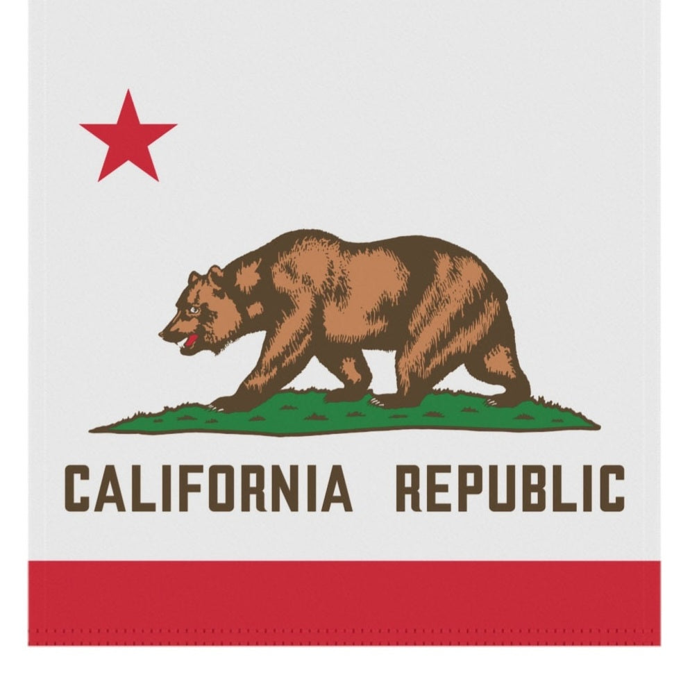 California 3x5 & 4x6 Feet Sleeved Flag Embroidered