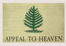 An Appeal To Heaven Founding Fathers 2'x3' Flag ROUGH TEX® 100D