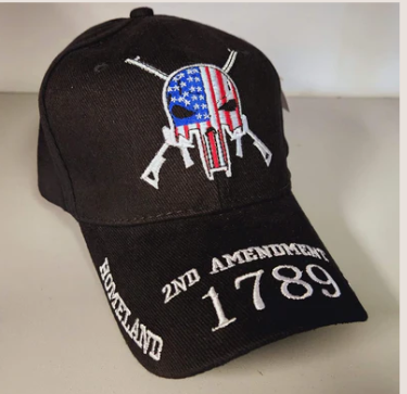 Punisher 2nd Amendment Homeland Embroidered Cap