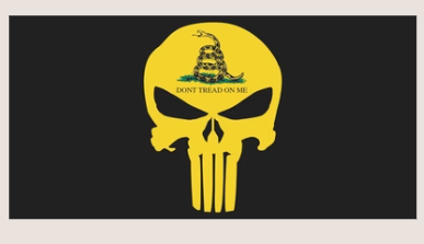 Punisher Gadsden Bumper Stickers Made in USA