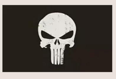Punisher Black & White 3'X5' Flag ROUGH TEX® 100D