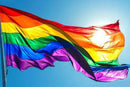 Rainbow Pride Outdoor LGBTQ 4'x6' State Flag ROUGH TEX® 68D US Embassy Flags