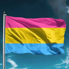 Pansexual 4'x6' State Flag ROUGH TEX® 68D LGBTQ Pride Flags