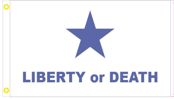 Texas Goliad Battle Star 3'X5' Flag ROUGH TEX® 100D