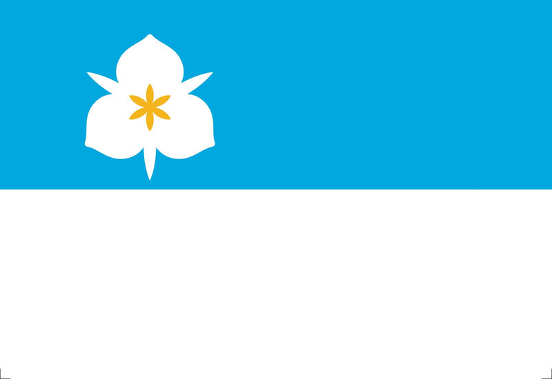 4"x6" Salt Lake City Utah Desk Stick Flag