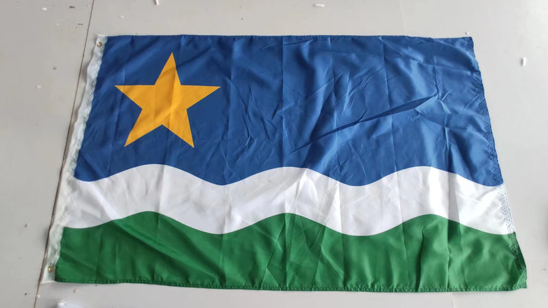 New Minnesota 3'X5' Flag ROUGH TEX® MN State Northstar Banner