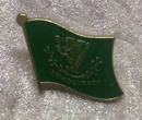 Erin Go Bragh Wavy Lapel Pin Irish
