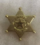 US Deputy Marshal Badge Lapel Pin