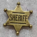 Sheriff 6 Point Badge Lapel Pin