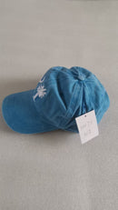 South Carolina Light Blue Embroidered Cap
