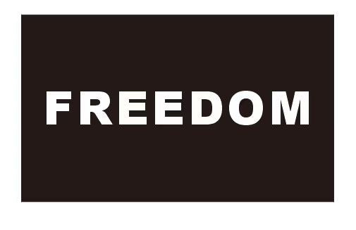 Freedom Charlie Kirk Black 3x5 Flags Commemorative Ships Oct. 7 2025