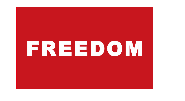 Freedom American Charlie Kirk Flags 3x5 Double Sided Ships Oct 14