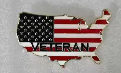 American Veterans USA Map United States of America Flag Lapel Pins