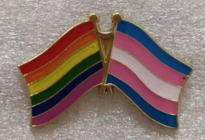Rainbow Transgender Pride Lapel Pin