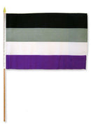 Asexual Rainbow 12"x18" Stick Flags Pride Parade