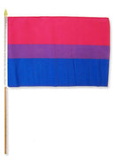 Bisexual Rainbow 12"x18" Stick Flags Pride Parade