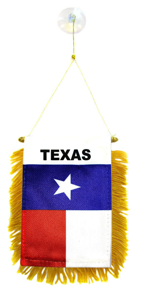 Texas Flag Mini Banner