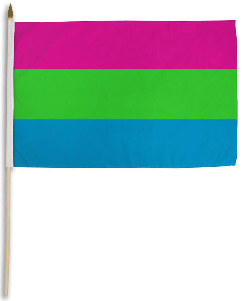 Polysexual Pride 12"x18" Stick Flags Parade Rainbow