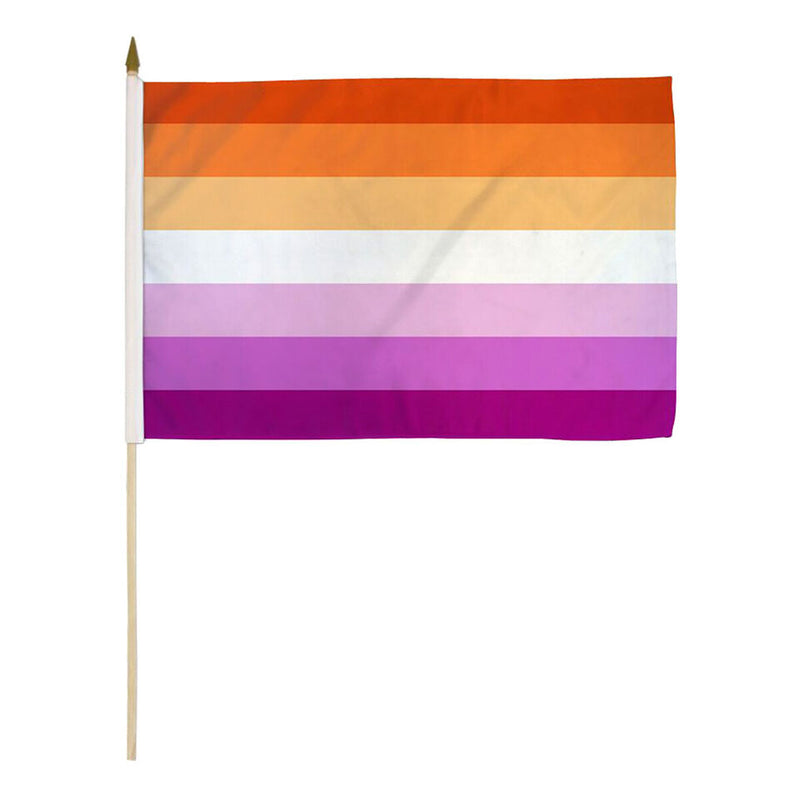 Lesbian Pride 12"x18" Stick Flags Parade Rainbow