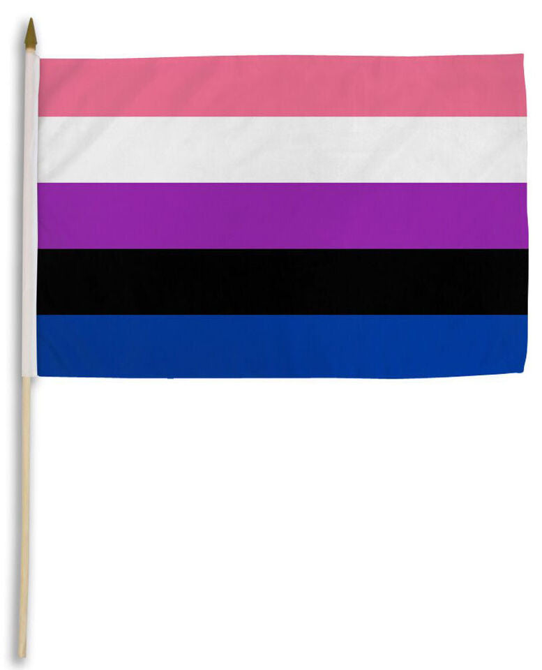 GenderFluid Rainbow 12"x18" Stick Flags Pride Parade
