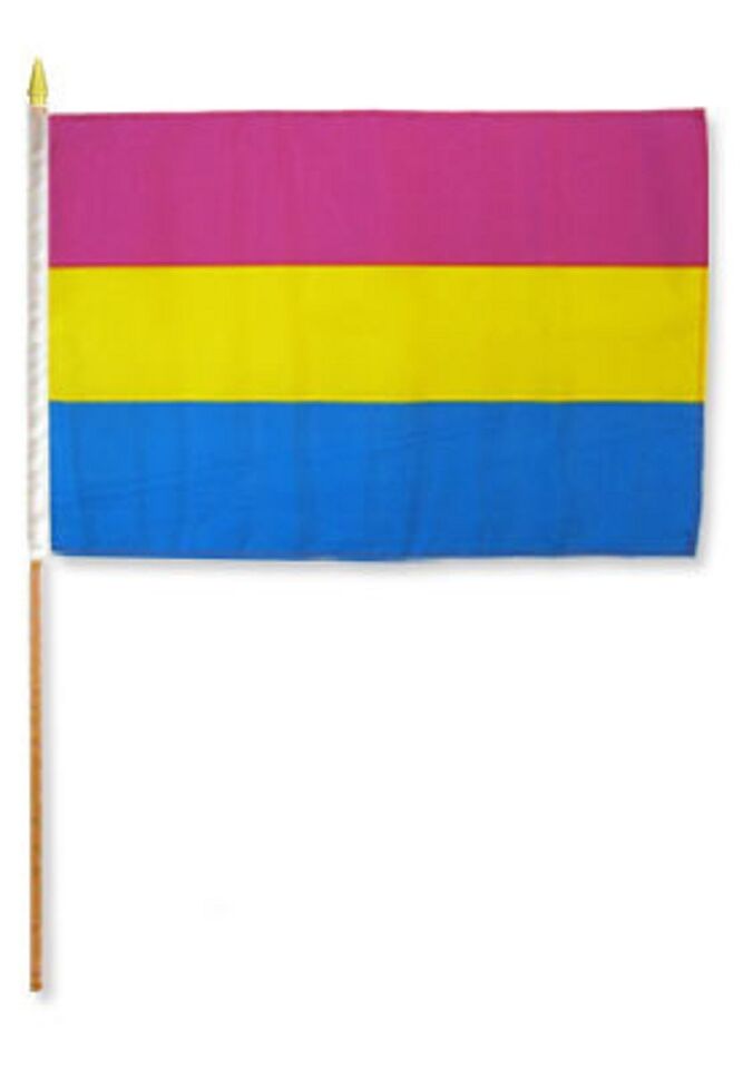 Pansexual Rainbow 12"x18" Stick Flags Pride Parade