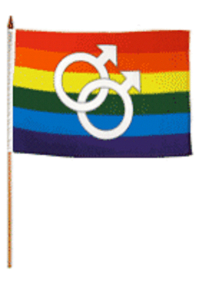 Gay Male Pride 12"x18" Stick Flags Parade Rainbow