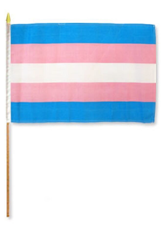 Transgender Rainbow 12"x18" Stick Flags Pride Parade