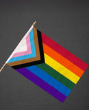 Progressive Pride Rainbow 12"x18" stick flags one dozen Parade